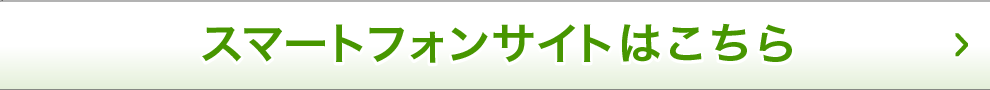 ���ޡ��ȥե��󥵥��Ȥ�