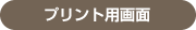 �v�����g�p���
