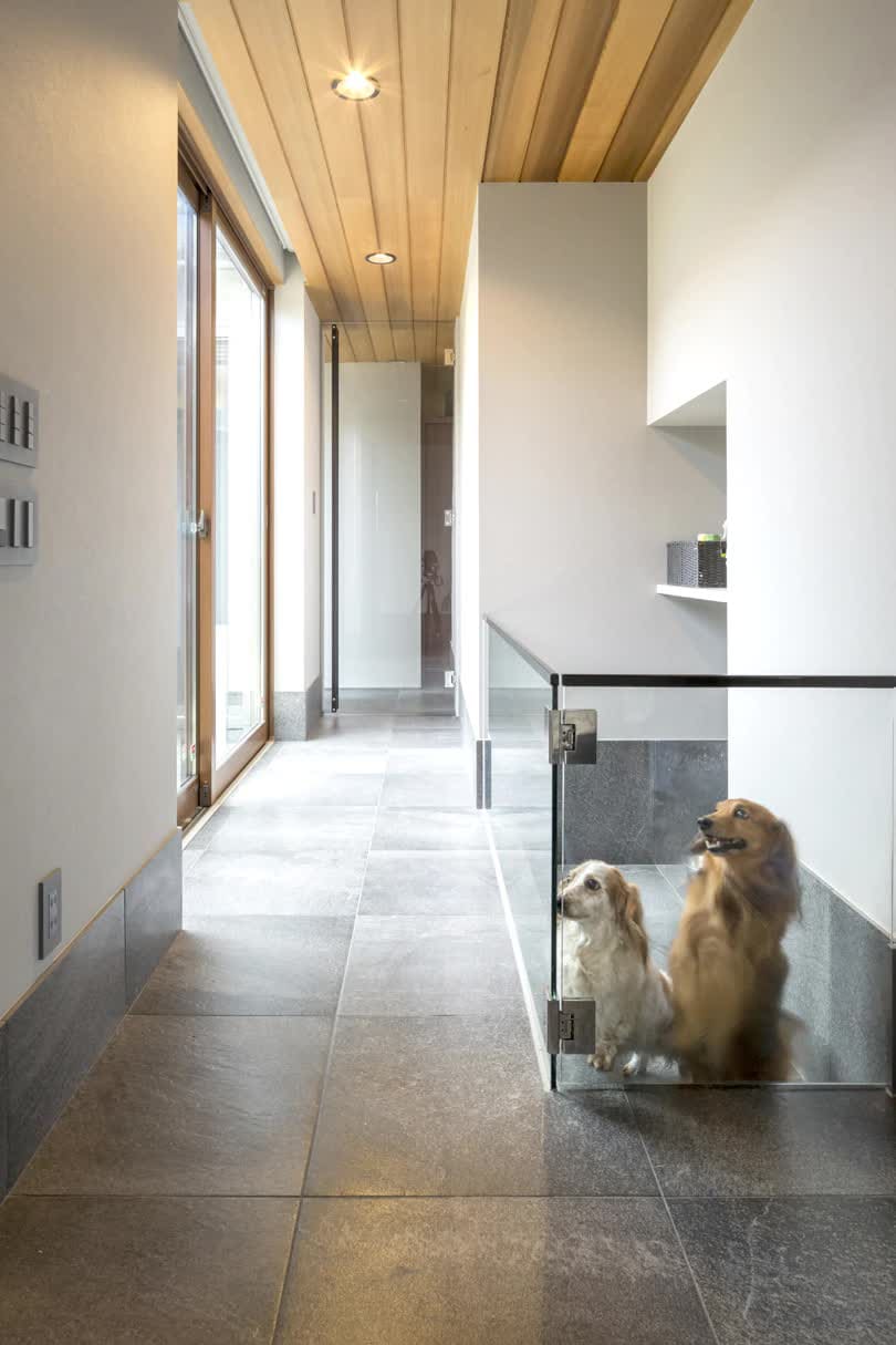 ガラスの仕切り板でつながる愛犬たちの居場所は、センターコートからの光も届く。