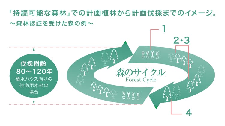 森のサイクル