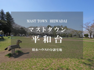 マストタウン平和台
