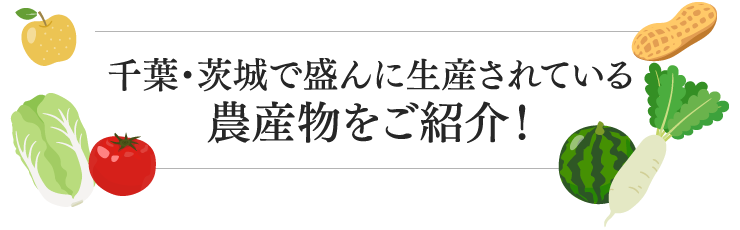 千葉・茨城で盛んに生産されている農産物をご紹介