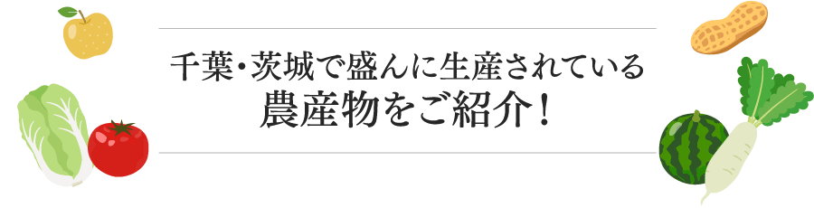 千葉・茨城で盛んに生産されている農産物をご紹介