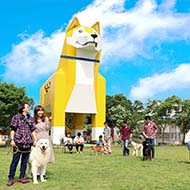 つくばわんわんランドの写真