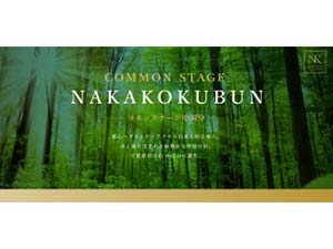 コモンステージ市川中国分(建売)