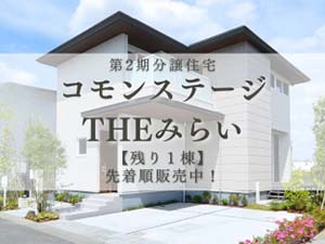 コモンステージTHEみらい建売 第2期