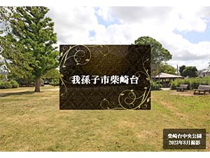 我孫子市柴崎台