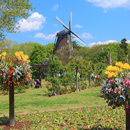 ふなばしアンデルセン公園の写真