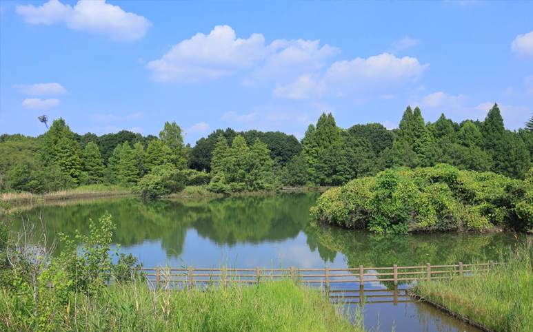 柏の葉公園