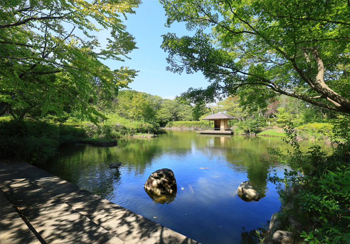 柏の葉公園