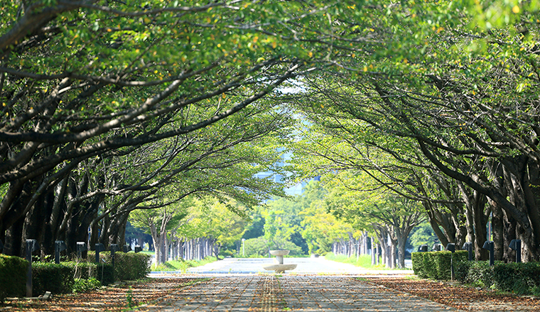 柏の葉公園