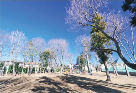 つくしが丘第4公園