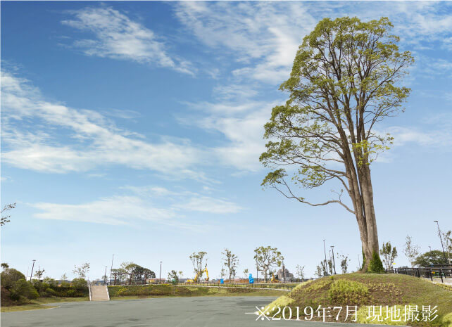 つつじ公園
