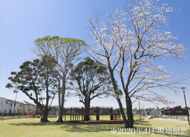 くすのき公園