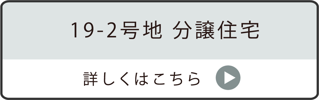 19-2号地 分譲住宅
