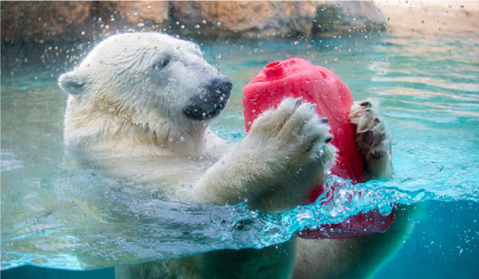 のんほいパーク動物園