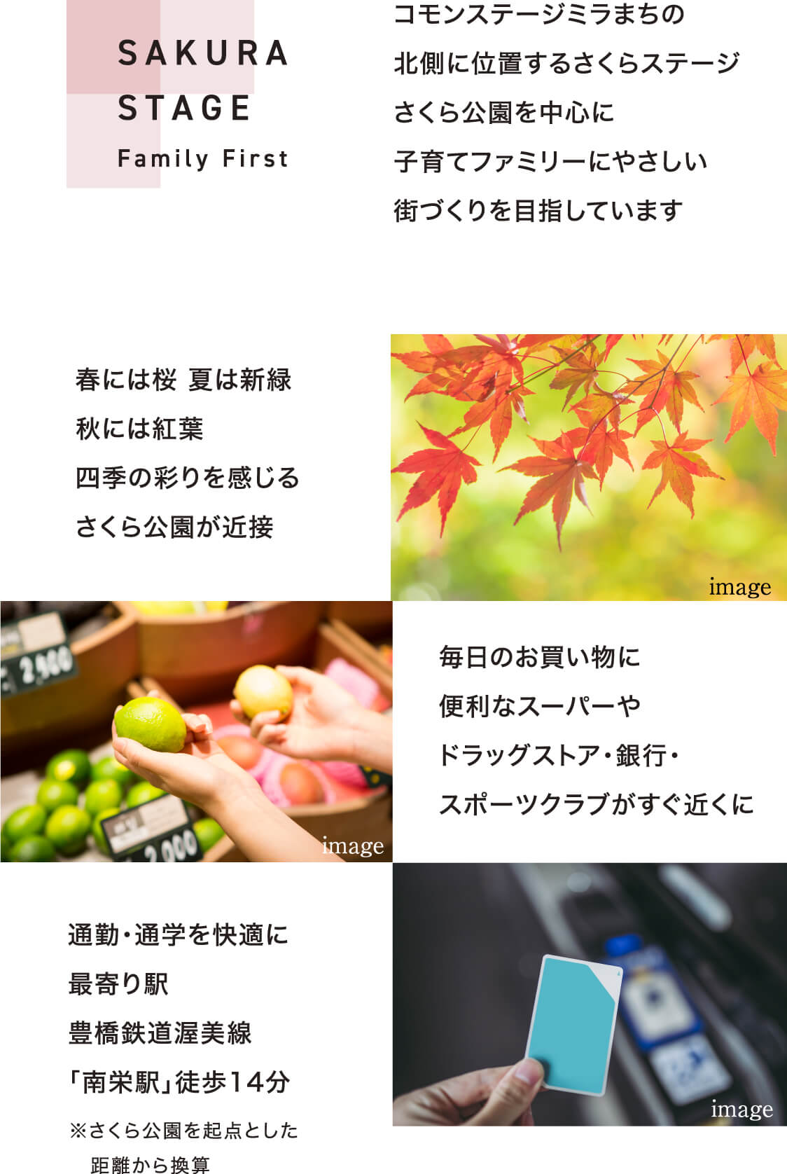 SAKURA STAGE Family First