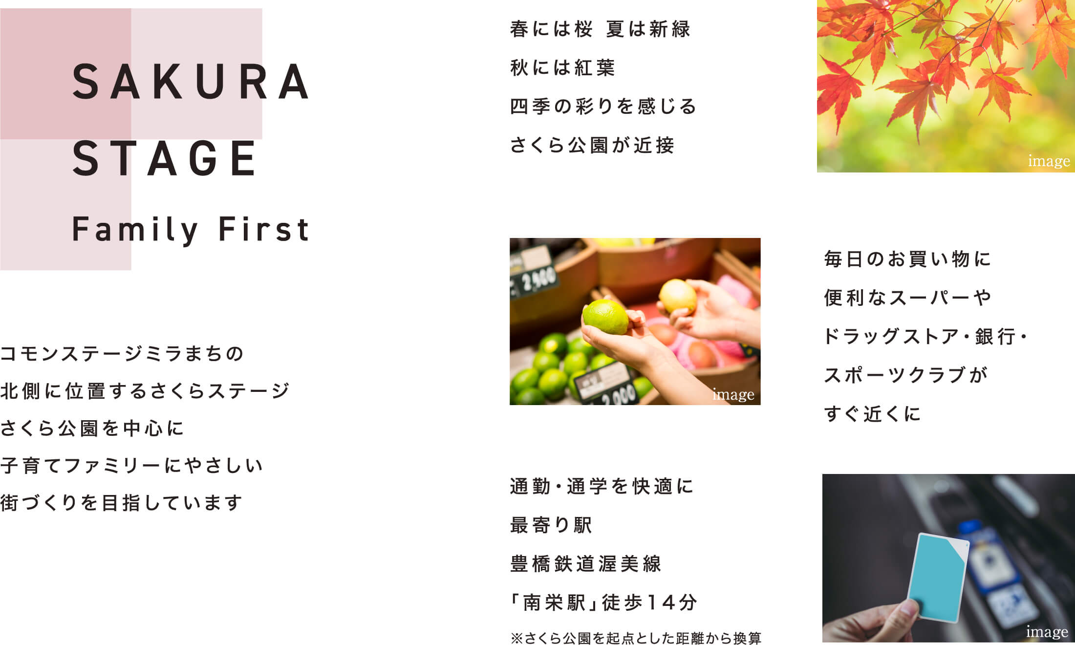 SAKURA STAGE Family First