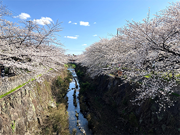 瑞穂区白羽根町分譲地
