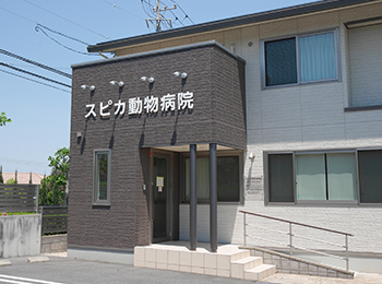 スピカ動物病院