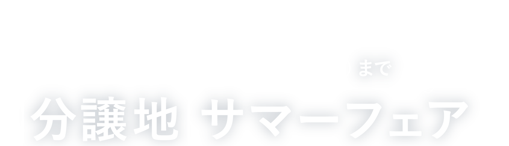 分譲地 スプリングフェア 5/31（金）まで