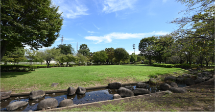 浜川運動公園