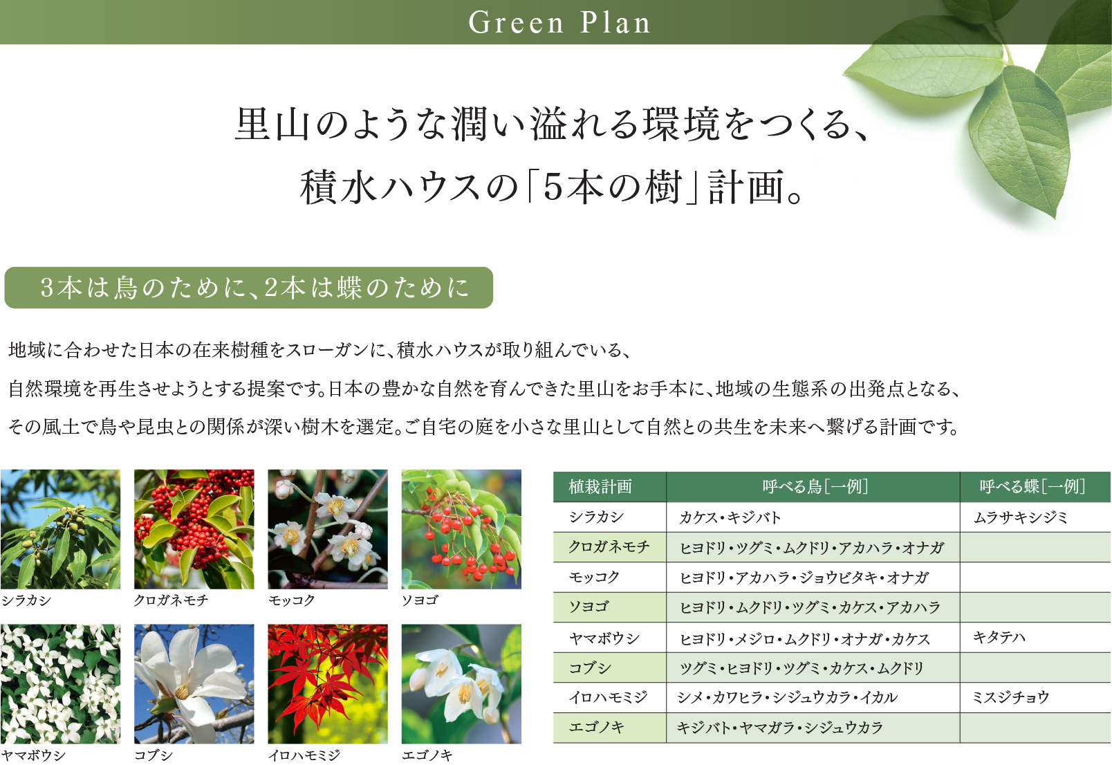 里山のような潤い溢れる環境をつくる、積水ハウスの「5本の樹」計画。