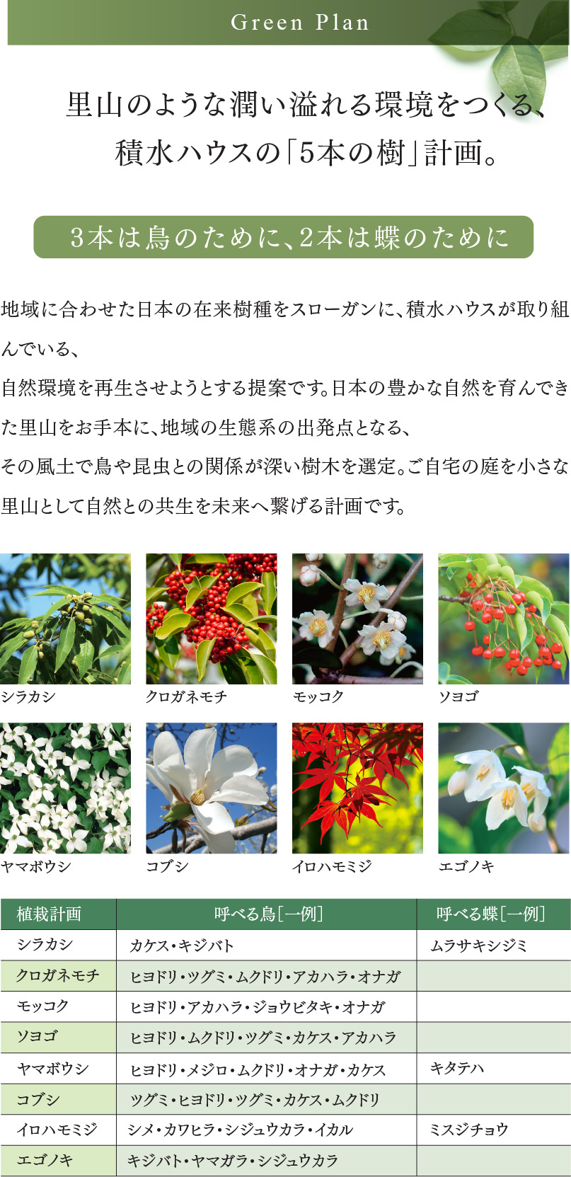 里山のような潤い溢れる環境をつくる、積水ハウスの「5本の樹」計画。