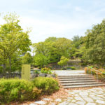 光の公園