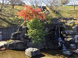 水の公園