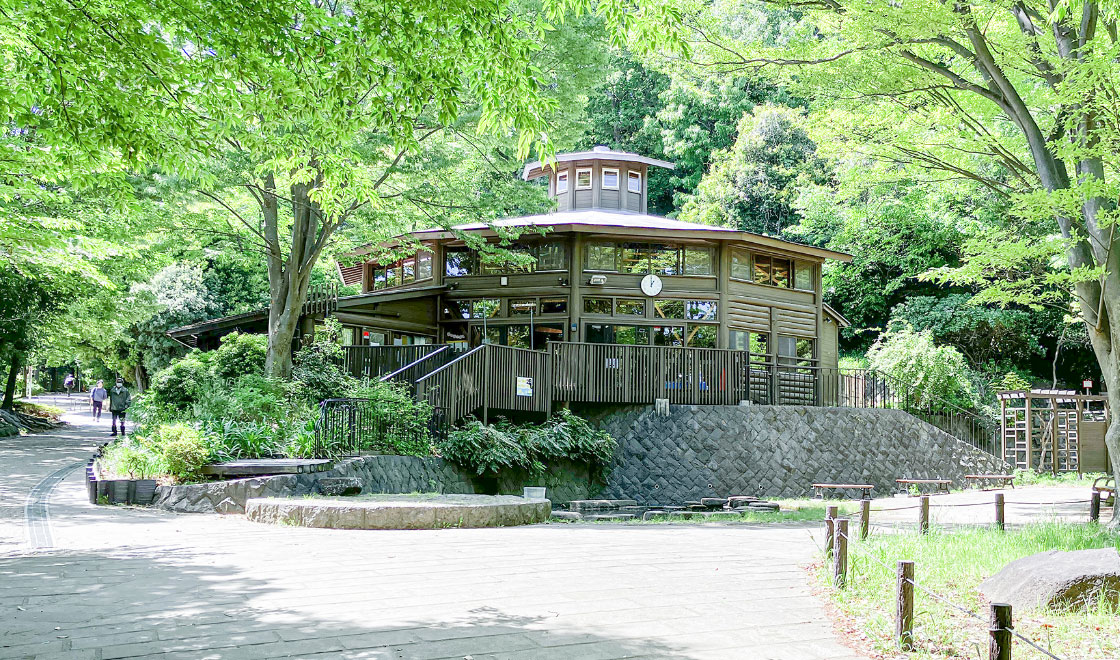 鴨池公園