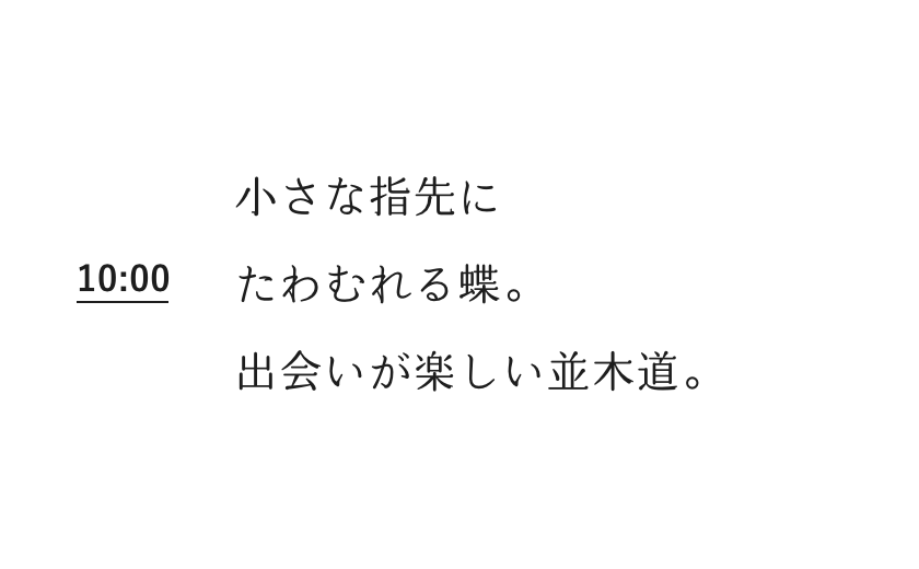 10:00 小さな指先にたわむれる蝶。出会いが楽しい並木道。