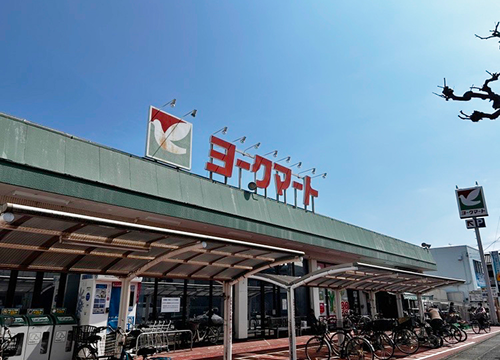 ヨークマート 鴨宮店の写真