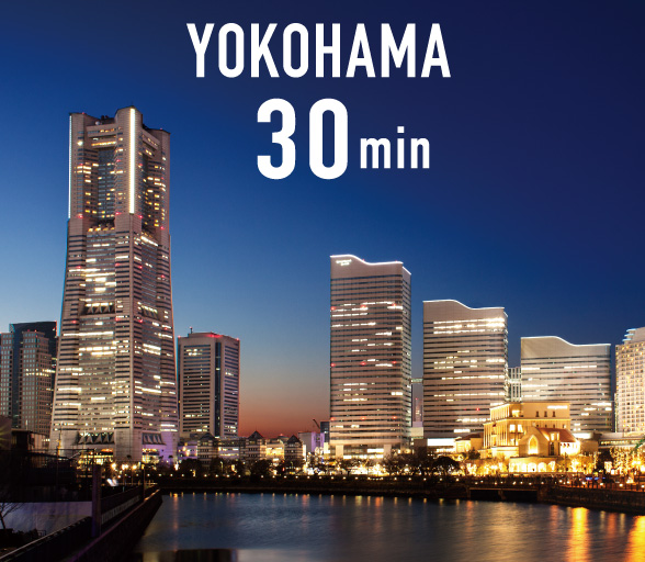 YOKOHAMA 30min