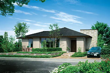 image photo