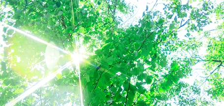 経年美化