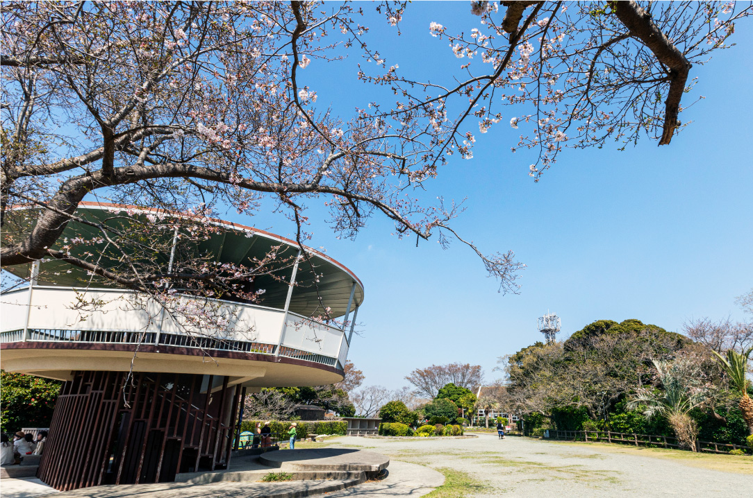 披露山公園