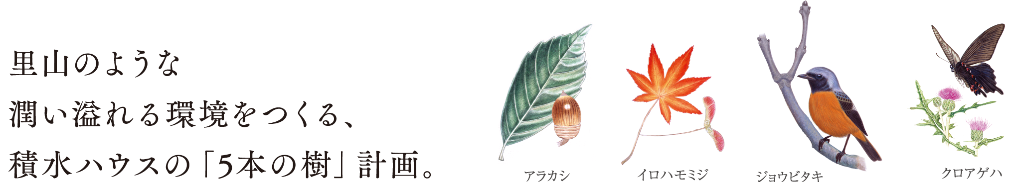 里山のような潤い溢れる環境をつくる、積水ハウスの「5本の樹」計画。