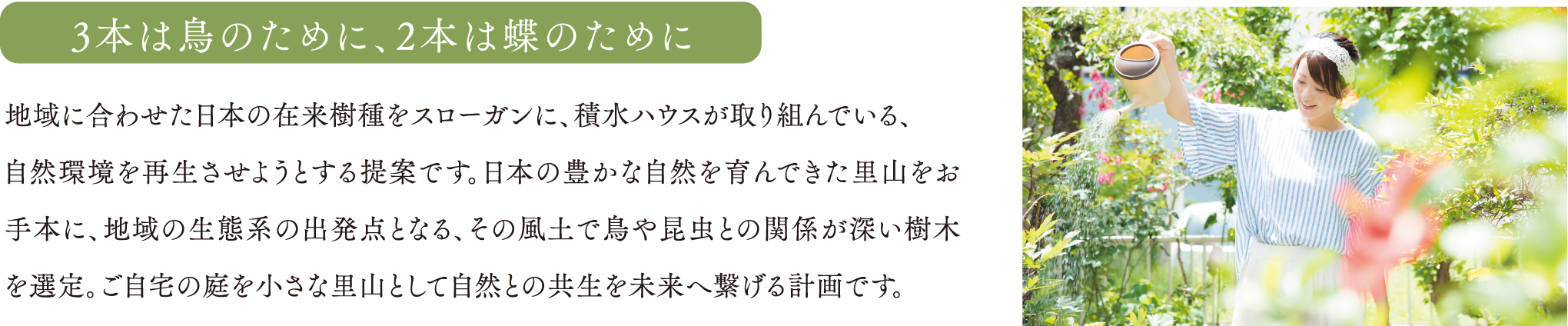 3本は鳥のために、2本は蝶のために