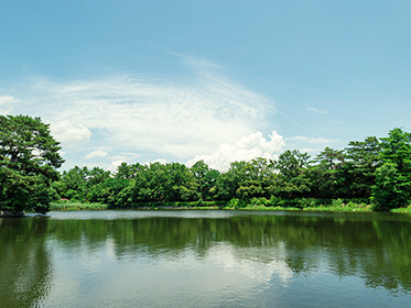 仲ノ池緑地