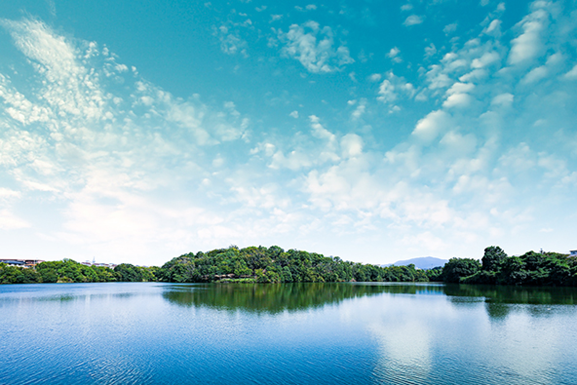 寺池公園