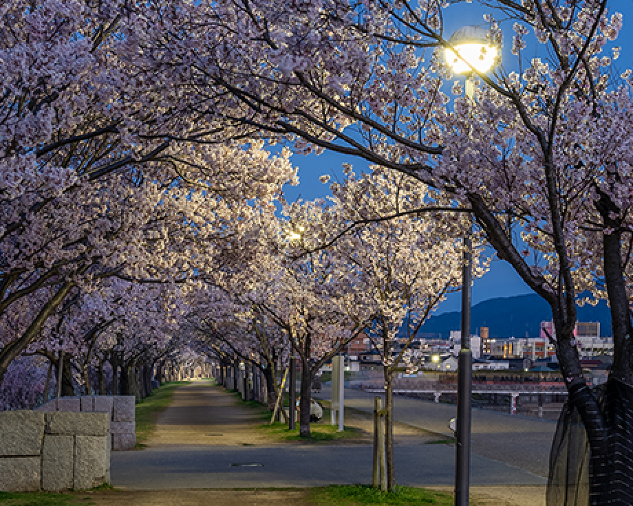 狭山池公園