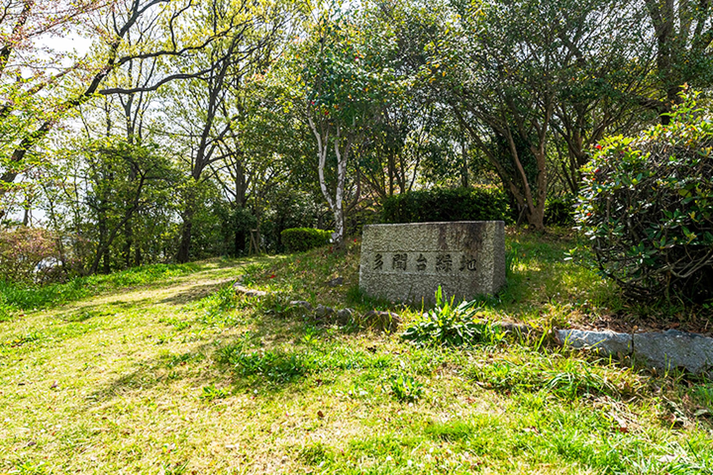 多聞台緑地