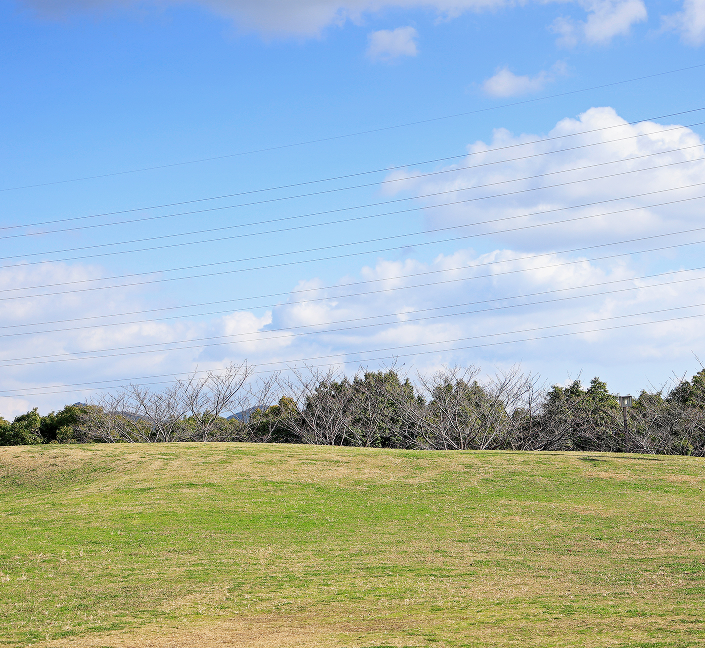 垂水健康公園／現地から徒歩28分（約2,200m）～徒歩29分（約2,300m）