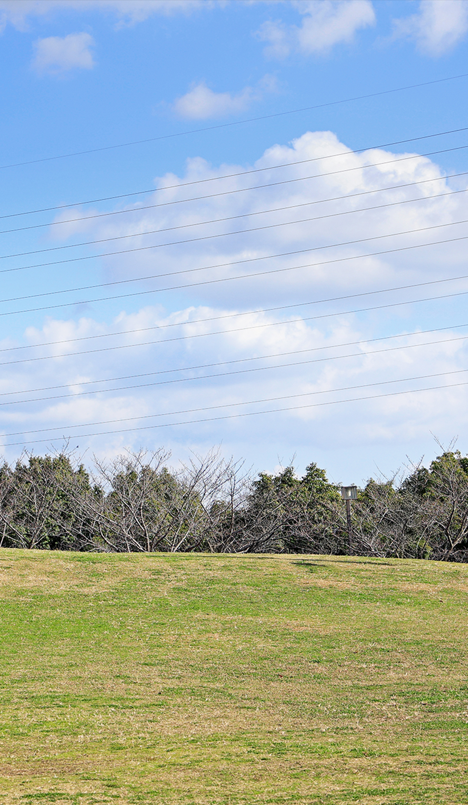 垂水健康公園／現地から徒歩28分（約2,200m）～徒歩29分（約2,300m）