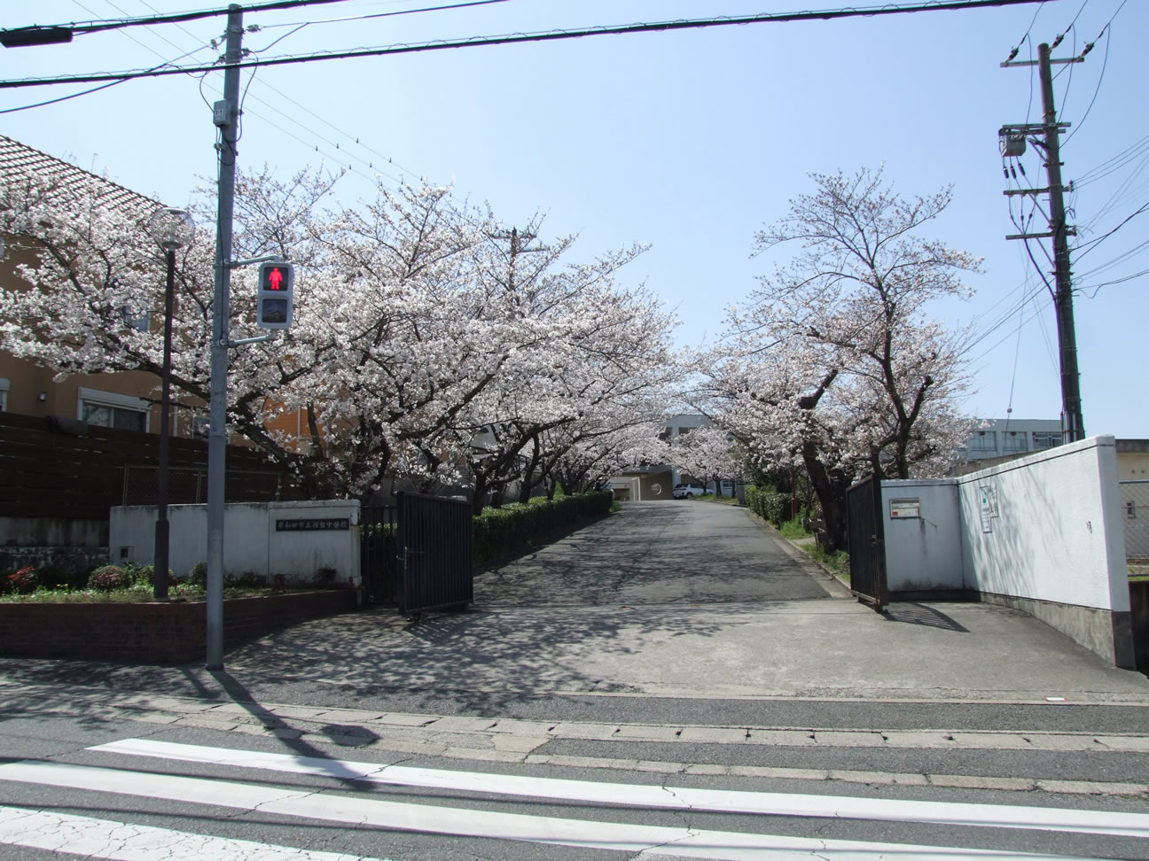 市立桜台中学校 徒歩22分～23分（約1,700m～約1,800m）