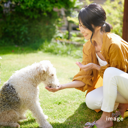 積水ハウスが選ばれる理由3