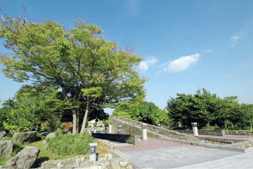 緑豊かな中央公園
