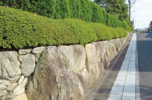 自然石積みの歩道