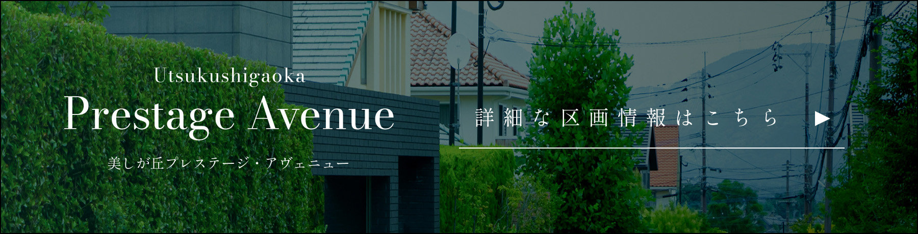 詳細な区画情報はこちら